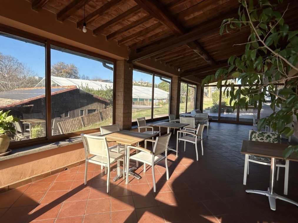 IMG_3937 (FILEminimizer).jpeg